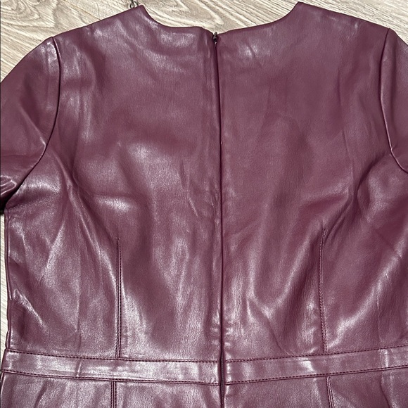 Ann Taylor Faux Leather Dress - Picture 4 of 5